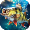 歡樂釣魚大師 內購版