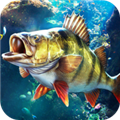 歡樂釣魚大師無限資源版