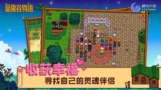 星露谷物語安卓最新版1