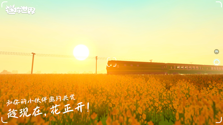 迷你世界 官服0