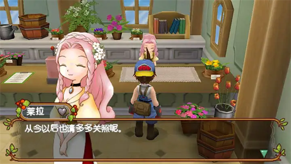 牧場物語蜜糖村和大家的心愿0