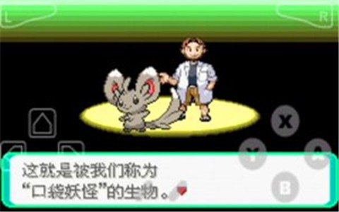 口袋妖怪：漆黑的魅影下載免費版0