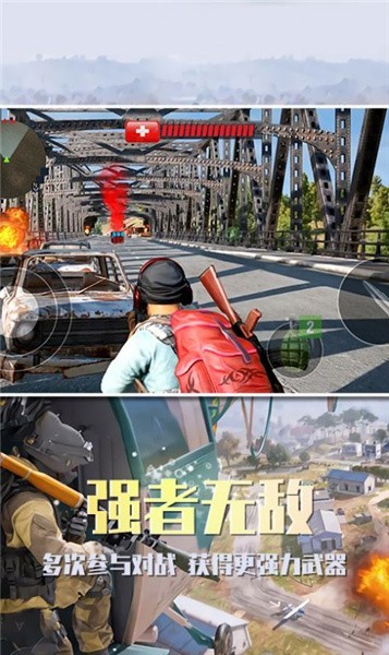 沙漠雄鷹0
