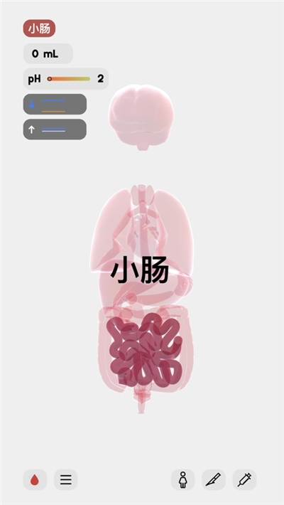 生命LIFE官網正版1