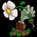 植物大戰僵尸2騰訊社交版