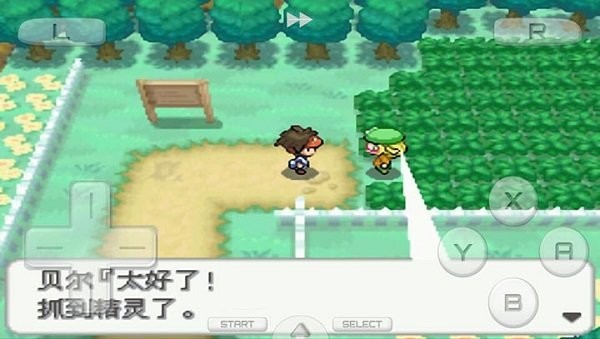口袋妖怪白20