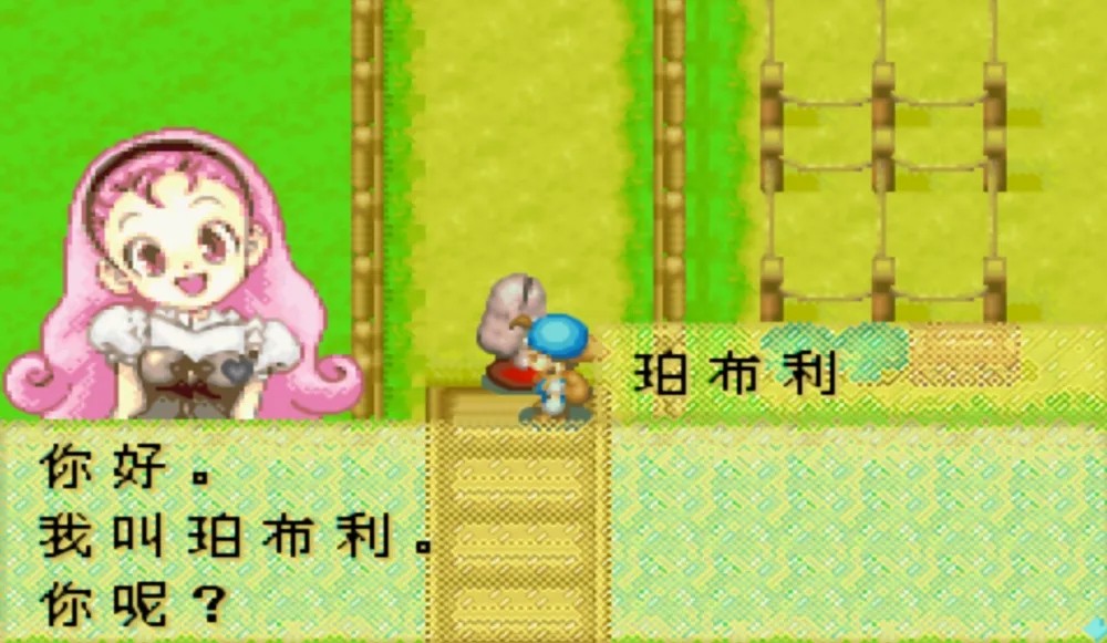 牧場物語礦石鎮(zhèn)的伙伴們2