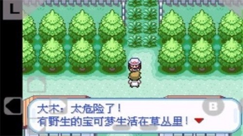 口袋妖怪火紅0