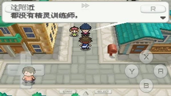 口袋妖怪白21