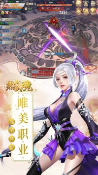 熱血武魂2