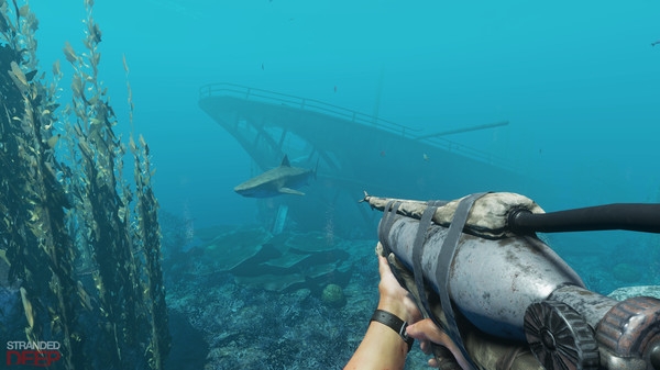 Stranded Deep0