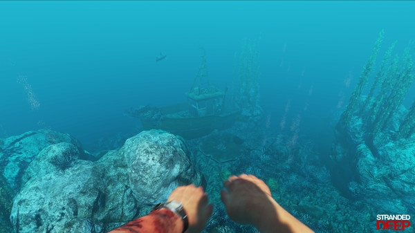 Stranded Deep3