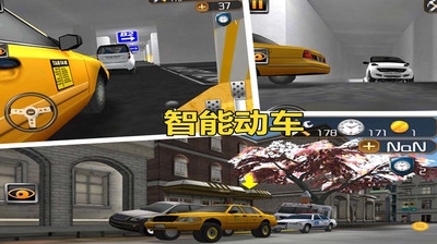 停車大師3D0