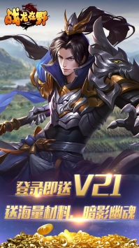 戰龍在野手游BT版0