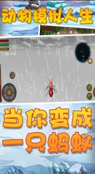 動(dòng)物模擬人生3