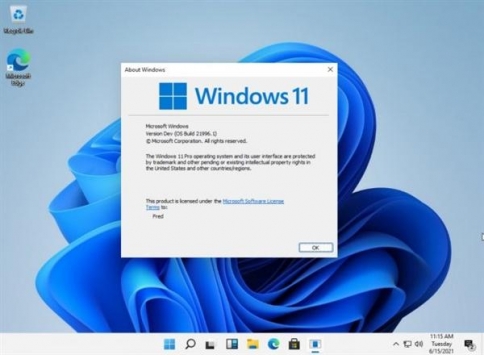 windows11模擬器1