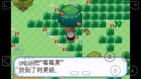 精靈寶可夢劍盾(FC)2