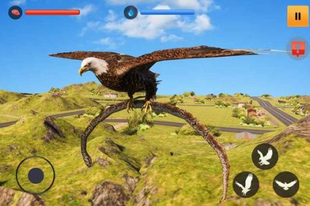 鷹模擬器3DEagle Simulator Game 3D0
