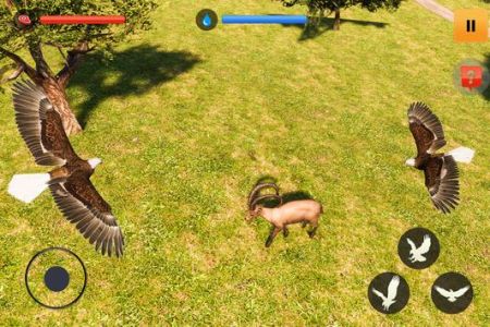 鷹模擬器3DEagle Simulator Game 3D2