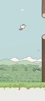 飛鼠Flying Squirrel2