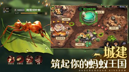 小小蟻國0