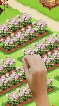 秘密花園HD2