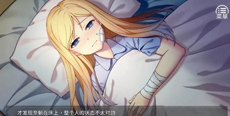 奈的調教日記0