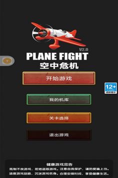空中危機2