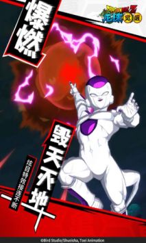 龍珠覺醒安卓版1