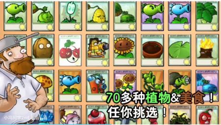 植物大戰(zhàn)僵尸時(shí)空之亂1