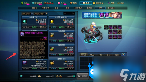 <b>DNF</b>寵物膠囊用不了解決方法