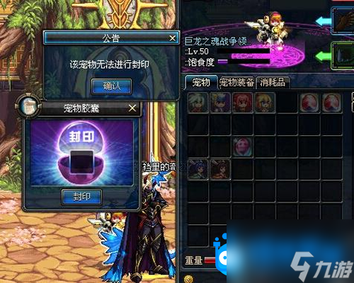 <b>DNF</b>寵物膠囊用不了解決方法