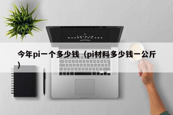 今年pi一個多少錢（pi材料多少錢一公斤）