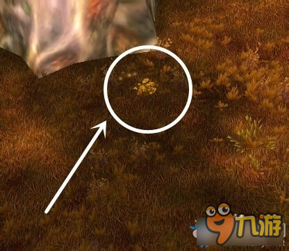 wow褪色的巫師帽獲取攻略 魔獸世界褪色的巫師帽怎么得
