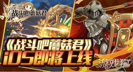戰斗吧蘑菇君萌新實用技巧大全