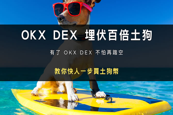 DEX 埋伏百倍土狗,怎么使用幣安?【DEX 購買土狗幣?圖文教程 幣安】