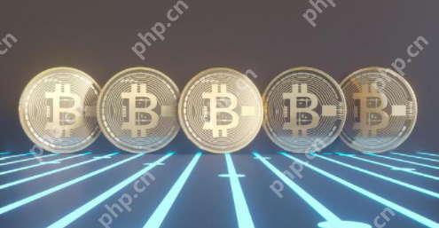 T網交易平臺APP怎么下載?