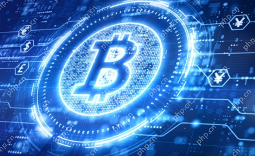 P網官網地址是哪個?【P網官網能交易哪些加密貨幣】