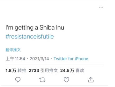 柴犬幣是什么幣種?SHIB幣(柴犬幣)介紹