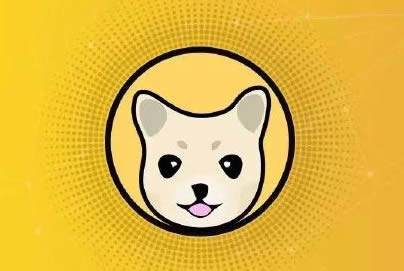 【kishu在哪買】紀州犬幣kishu購買教程?kishu是什么幣