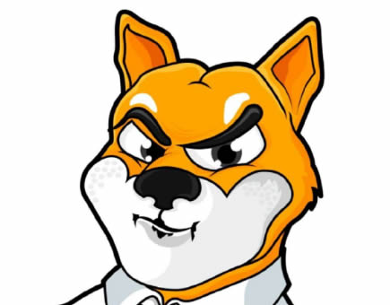 幣安shib柴犬幣怎么買?幣安柴犬幣怎么提現人民幣?