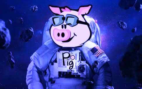 pig幣交易所最新官方版V5.4.6下載_pig幣虛擬貨幣交易所 pig幣軟件操作教程