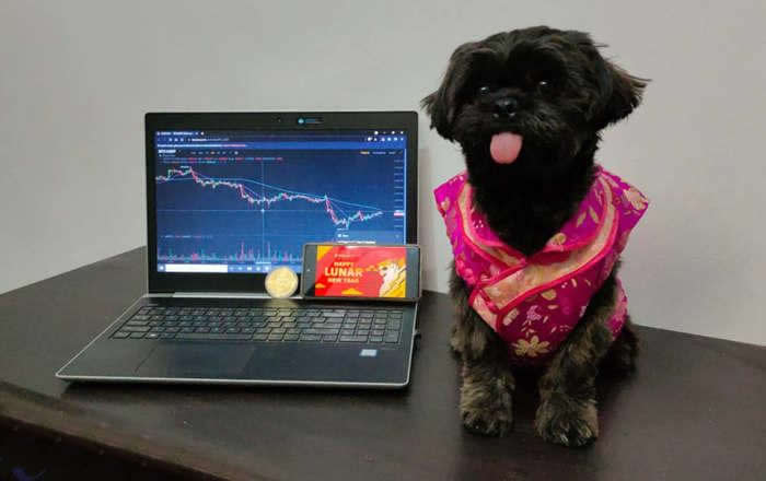 【沈騰春晚提及的元宇宙DOGEKING幣介紹】?DOGEKING是什么幣種