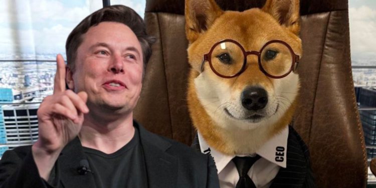 馬斯克公布推特新CEO是條狗 雙狗幣DOGE和FLOKI暴漲45%