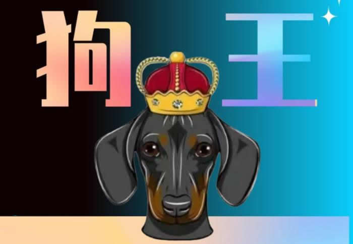 DOGEKING是什么幣種?【DOGEKING幣前景怎么】