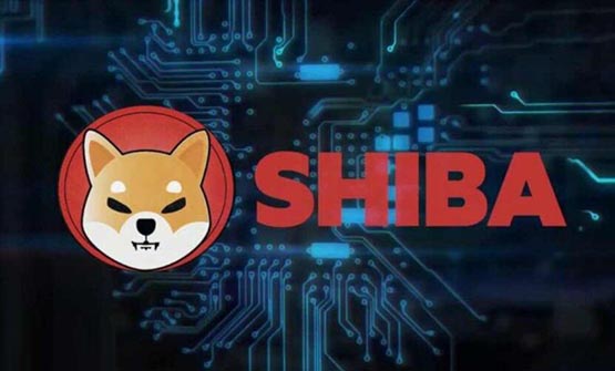 柴犬幣是屎幣嗎?柴犬幣為什么叫屎幣?