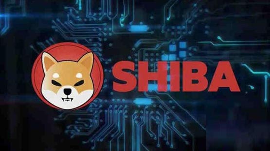 柴犬幣/SHIB銷毀機制一文了解?屎幣有銷毀機制嗎