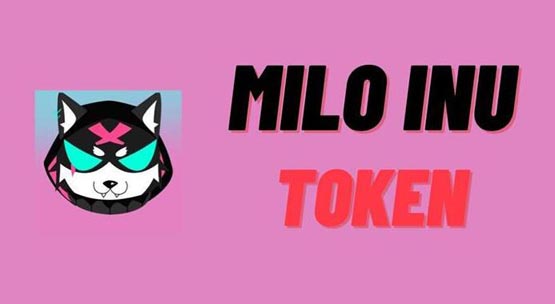 MILO幣發(fā)行價(jià)多少?MILO幣發(fā)行價(jià)格介紹