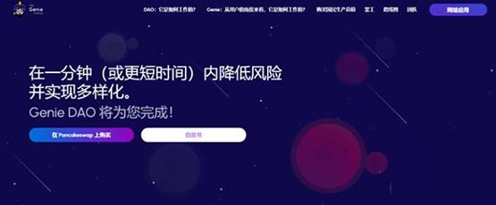 GNP幣全面詳細介紹?GNP是什么幣種