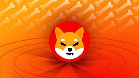 ?2023年柴犬幣最新價格多少錢一個